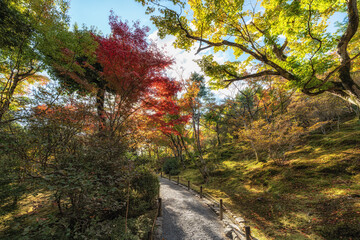 Tenryu-ji Temple Autumn