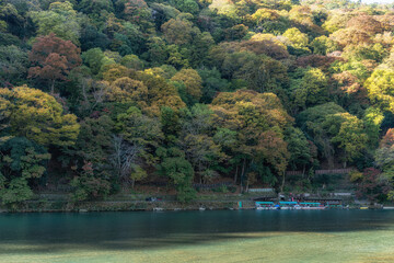 Katsura River during Autumn