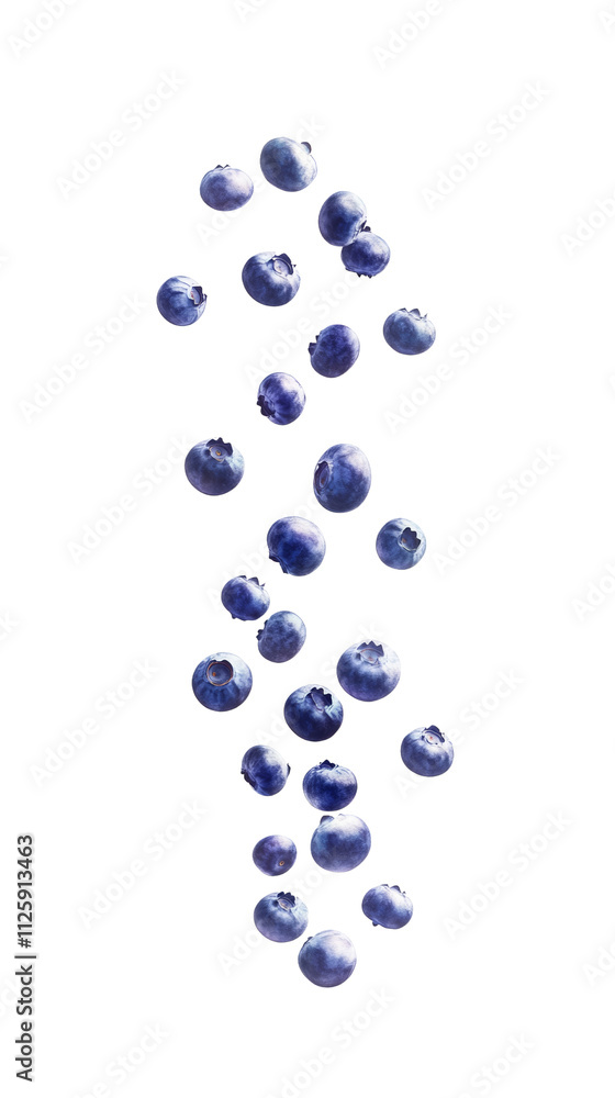 Poster falling blueberry isolated on transparent background