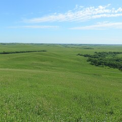 Obraz premium Undulating Green Prairie Landscape Under Blue Sky