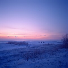 Winter Sunset over Frozen Plains with Silhouetted Objects