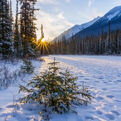 Winter Sunset in the Canadian Rockies