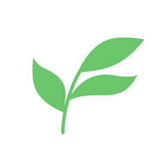 Wild Flower Decoration