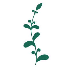 Fototapeta premium Wild Flower Decoration