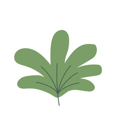 Wild Flower Decoration