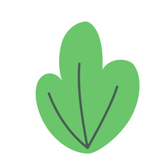 Wild Flower Decoration