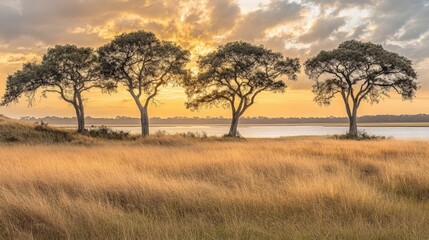 Obraz premium Serene African Savannah at Golden Hour