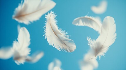 93.A close-up of delicate white feathers drifting softly through a clear blue sky, with each feather appearing weightless and intricate. The feathers seem to be frozen in time, suspended in mid-air