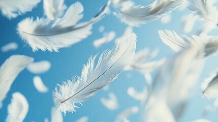 93.A close-up of delicate white feathers drifting softly through a clear blue sky, with each feather appearing weightless and intricate. The feathers seem to be frozen in time, suspended in mid-air