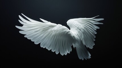 53.Surreal scene of white wings in magical, flowing motion against a black backdrop; the feathers seem almost weightless as they dance gracefully, with light softly gliding over each feather to