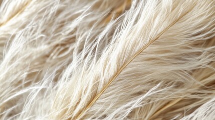 26.Close-up shot of dried feather grass with intricate details, focusing on the fine, thread-like stems that create a wispy, delicate texture; the grass appears stiff and slightly curled, showcasing