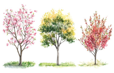 Obraz premium Watercoloring trees in seasonal colors with transparency background nature artwork garden creative environment