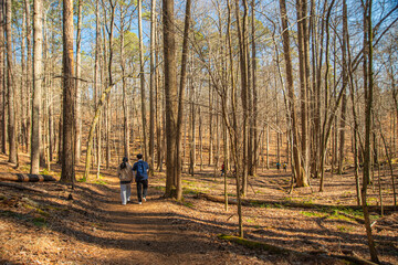 Hiking among trees is like a silent conversation with nature, Red Top Mountain State Park, Acworth, Georgia, United States of America