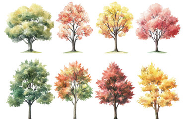 Fototapeta premium Autumn trees collection on transparency background nature art vibrant colors aesthetic viewpoint