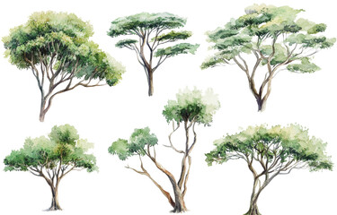 Watercolor tree illustrations nature with white space artistic display natural environment creative concept