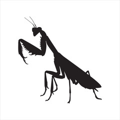 A vector silhouette image of a mantis icon with a white background