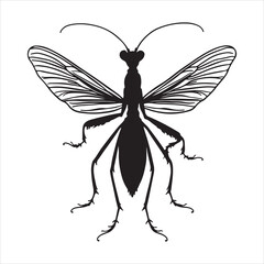 A vector silhouette image of a mantis icon with a white background