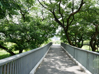 The path is made of cement.