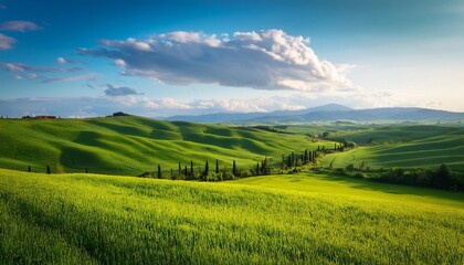 Fototapeta premium Scenic rice field landscape with green meadows, rolling hills, and distant mountains under a blue sky with fluffy clouds