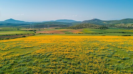Fototapeta premium Vibrant Yellow Wildflowers Bloom in Rolling Hills Under Blue Skies, Wind Turbines in Distance