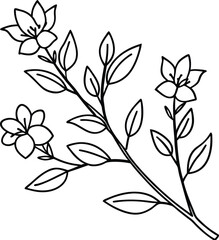 Decorative branch illustration leaves line art