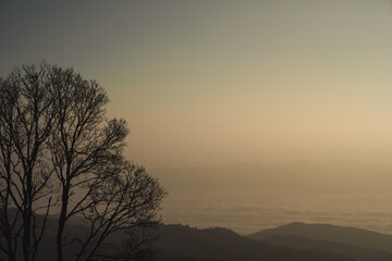 landscape and travel concept with sunrise and layer of mountain and mist with forest on morning