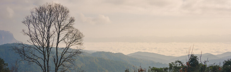 landscape and travel concept with sunrise and layer of mountain and mist with forest on morning