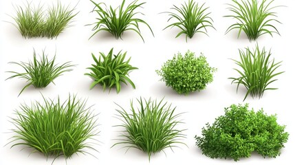 85.A collection of hyper-realistic, 3D vector plants with detailed grass blades and compact green bushes on a white background. Each element has distinct leaf textures and subtle shading, creating a