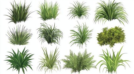 7.A flat vector illustration of various green grass bushes against a pure white background, each bush arranged with a dense collection of grass blades that spread naturally. The design showcases