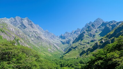 Majestic Mountain Valley Landscape  Scenic Peaks  Hiking Nature