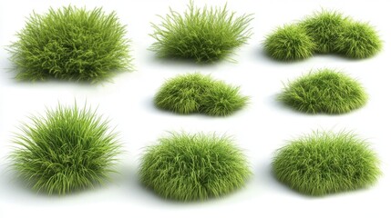 6.A set of isolated green grass bushes on a white background, each bush featuring lush blades of grass that fan outwards in a natural, wild arrangement. The fine details of individual grass blades