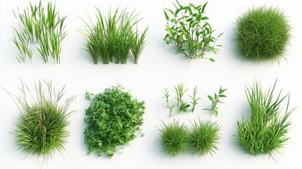 21.A versatile collection of grass types in various shades of green and textures, each grass asset designed with lush, rounded blades and compact formations. This bundle captures a range of natural