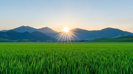Fototapeta premium Stunning Sunrise over Green Field and Mountain Range