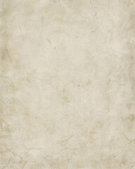 Fototapeta premium Pale Silver Paper Texture Background