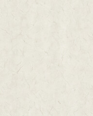 Pale Silver Paper Texture Background