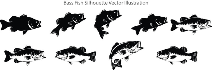 bass fish silhouette vector illustration