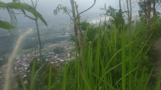 The cool and beautiful scenery on Nirwana Hill.