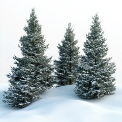Obraz premium snowy evergreen trees in a winter landscape