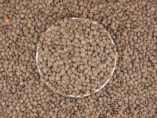 그릇에 가득 담긴 렌틸콩, 요리재료