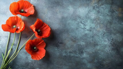 remembrance day patriotic design with free text area to honor traditions