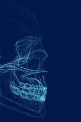 human skull blue contour, side view - vector illustration