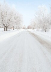 Obraz premium Frosted Urban Roadway with Snow-Covered Trees in Tranquil Winter Scene