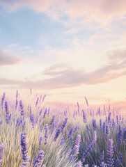 Fototapeta premium Field of soft pastel green and lavender grass with feather-like texture under golden-hour sky