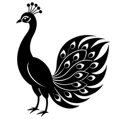 black and white peacock vector silhouette 