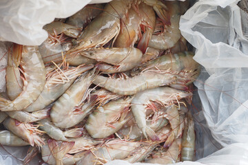 top view raw king prawn or buy shrimps on shop at the seafood market