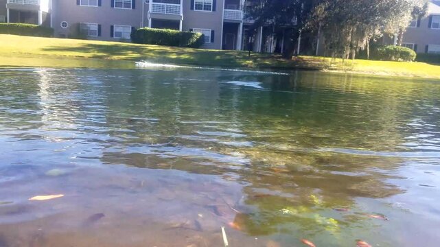 A remote control boat driving around in a pond