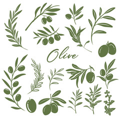 Set of Olive Green silhouettes. Branches With olives, Leaves for creating logos, patterns, greeting cards, wedding Invitations. Vector drawing isolated on white background.
