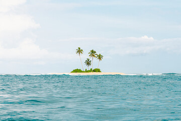 tropical island with palm trees