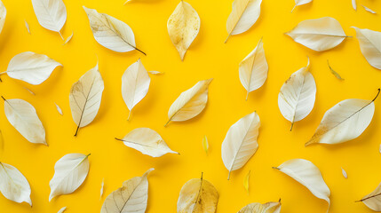  a vibrant and textured yellow background with a decorative arrangement of white leaves scattered across the surface The leaves are evenly distributed, creating a visually appealing contrast 