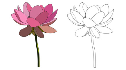 lotus coloring page for kids. lotus coloring page newspaper. lotus vector illustration with black outline